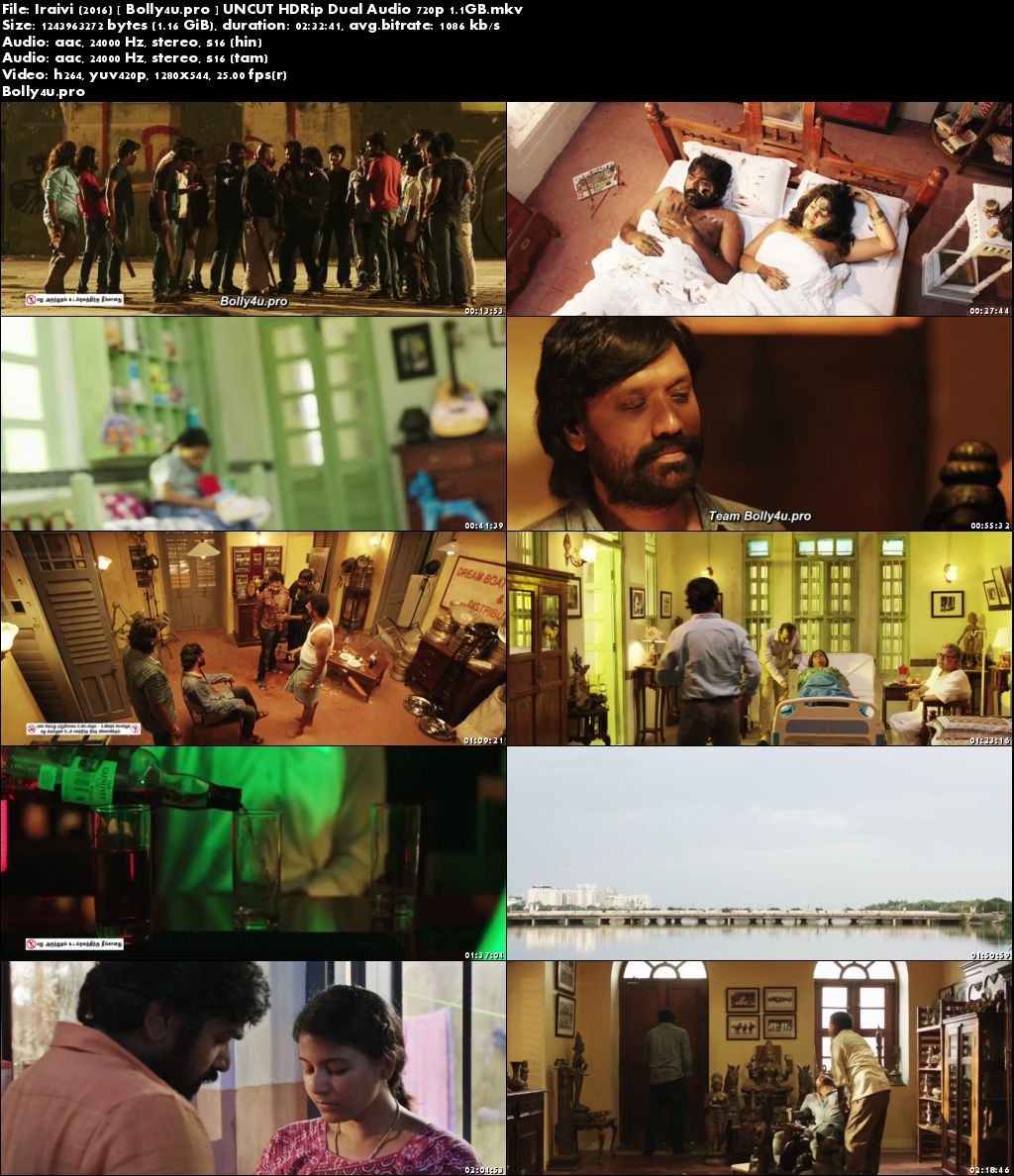 Iraivi 2016 UNCUT 450MB HDRip Hindi Dual Audio 480p Download