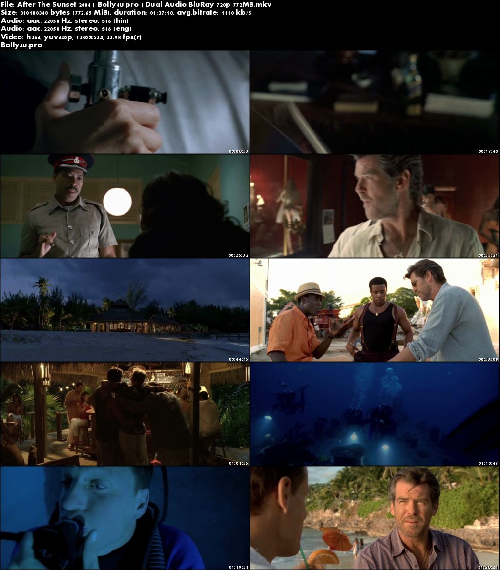 After The Sunset 2004 BluRay 300Mb Hindi Dual Audio 480p Download