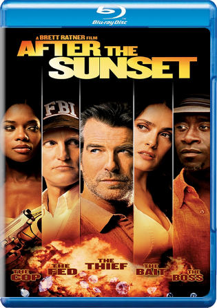 After The Sunset 2004 BluRay 300Mb Hindi Dual Audio 480p