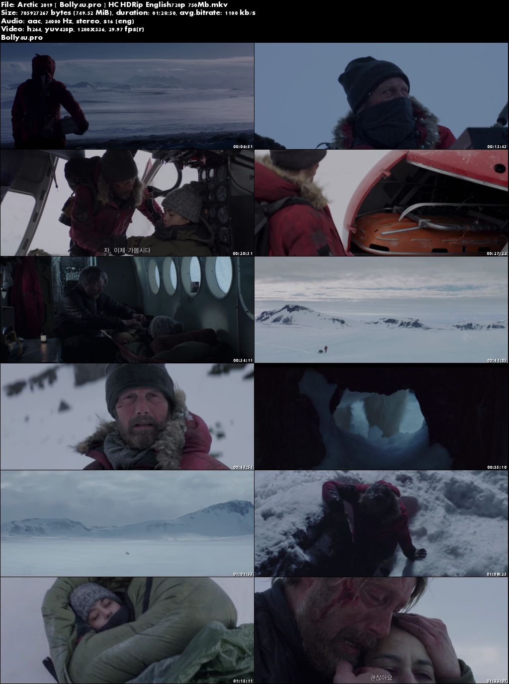 Arctic 2019 HC HDRip 750Mb English 720p Download