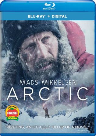 Arctic 2018 BRRip 300MB English 480p ESub Watch Online Full Movie Download bolly4u