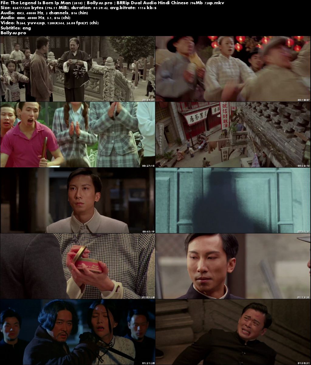 The Legend Is Born Ip Man 2010 BRRip 300MB Hindi Dual Audio 480p Download