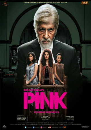 Pink 2016 BluRay 400Mb Full Hindi Movie Download 480p