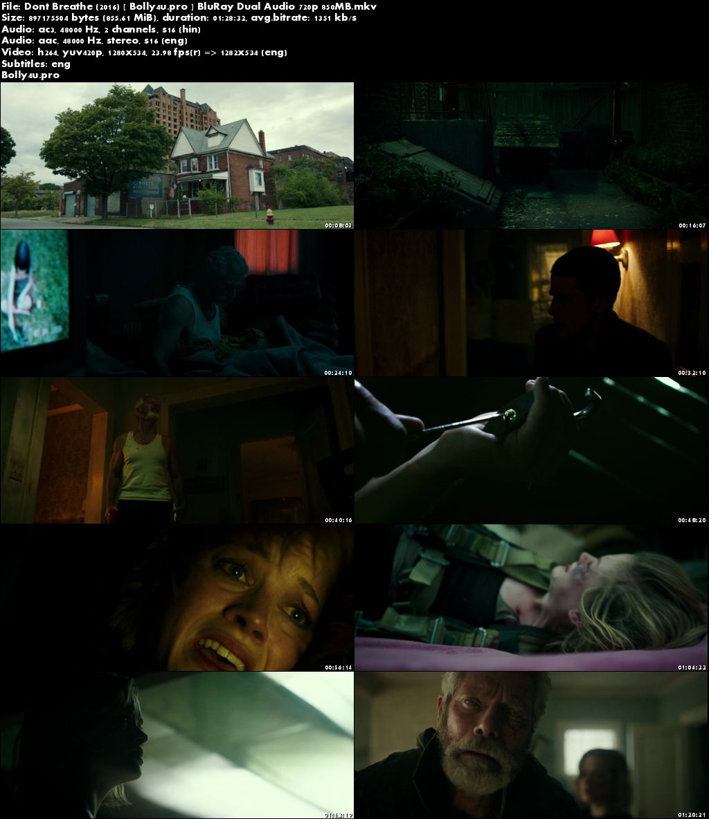 Dont Breathe 2016 BluRay 850Mb Hindi Dual Audio 720p Download