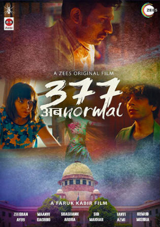 377 Ab Normal 2019 WEB-DL 300MB Hindi 480p ESub Watch Online Free Download bolly4u