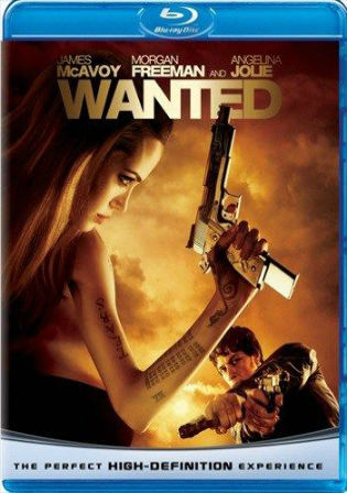 Wanted 2008 BRRip 350MB Hindi Dual Audio 480p ESub