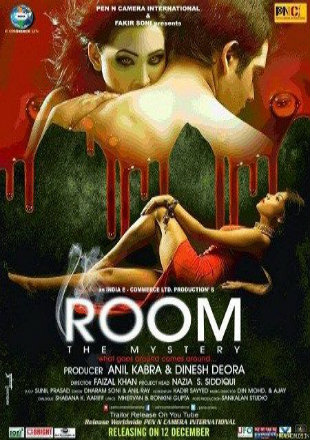 Room The Mystery 2015 WEB-DL 300Mb Hindi 480p Watch Online Full Movie Download bolly4u