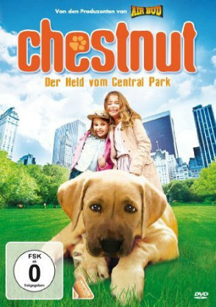 Chestnut Hero of Central Park 2004 HDTV 300MB Hindi Dual Audio 480p