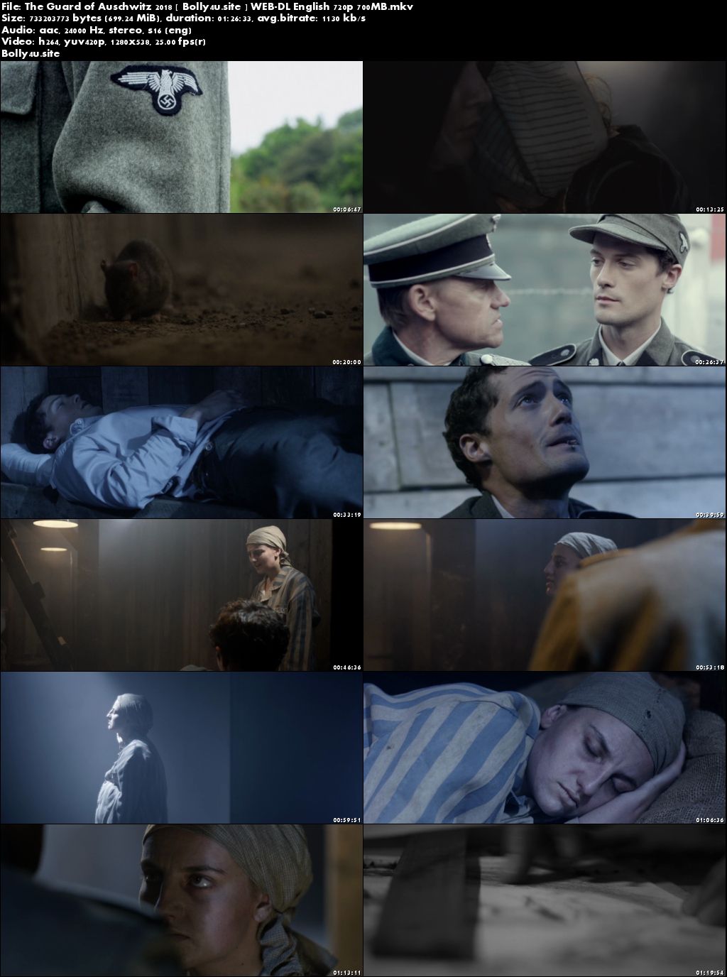 The Guard of Auschwitz 2018 WEB-DL 250MB English 480p Download
