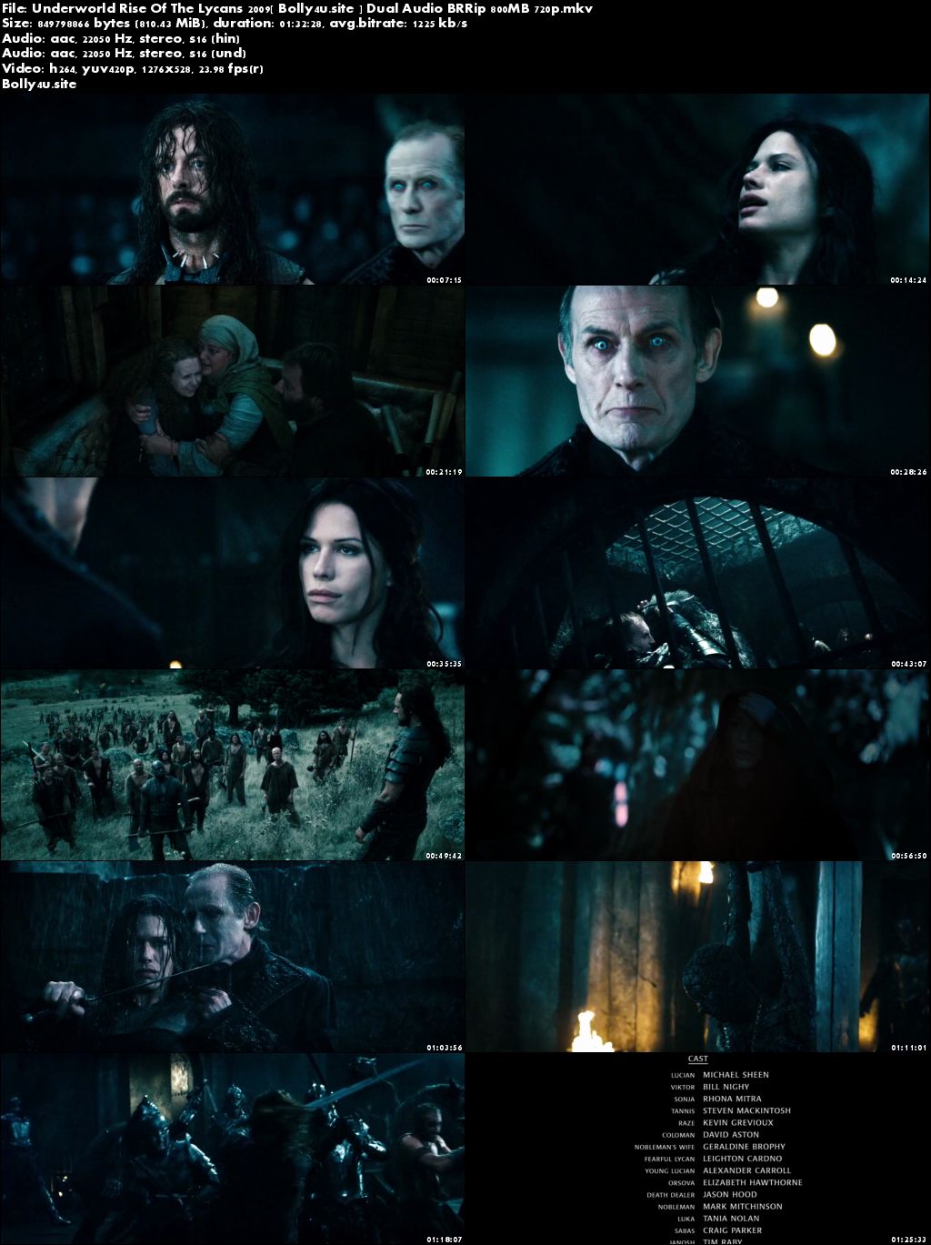 Underworld Rise Of The Lycans 2009 BRRip 300Mb Hindi Dual Audio 480p Download