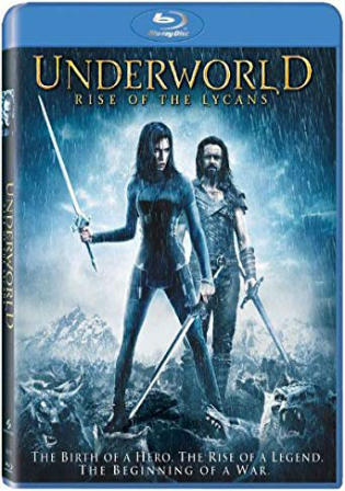 Underworld Rise Of The Lycans 2009 BRRip 300Mb Hindi Dual Audio 480p