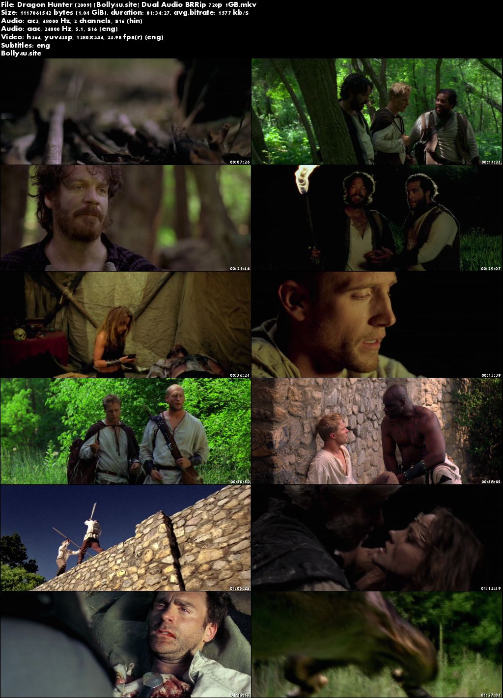 Dragon Hunter 2009 BRRip 300MB Hindi Dual Audio 480p Download