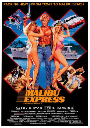 Malibu Express 1985 BRRip 950MB Hindi Dual Audio 720p Watch Online Full Movie Download bolly4u