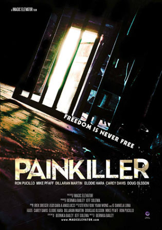 Painkiller 2013 WEB-DL 800MB Hindi Dual Audio 720p ESub