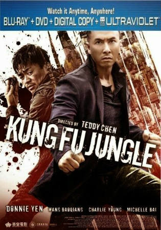 Kung Fu Jungle 2014 BRRip 750Mb Hindi Dual Audio 720p ESub Watch Online Full Movie Download bolly4u