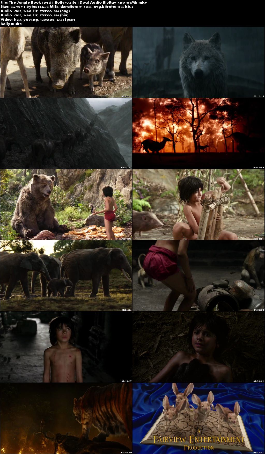 The Jungle Book 2016 BluRay 800Mb Hindi Dual Audio 720p Download