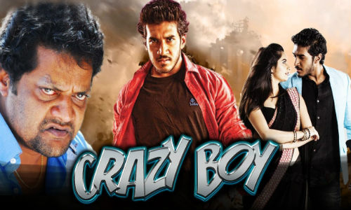 Crazy Boy 2019 HDRip 300MB Hindi Dubbed 480p