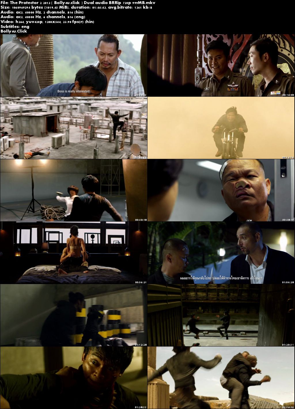 The Protector 2 2013 BluRay 999Mb Hindi Dual Audio 720p Download