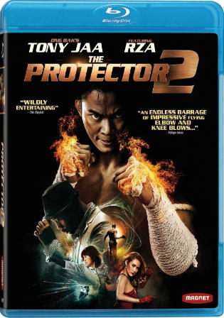 The Protector 2 2013 BluRay 300Mb Hindi Dual Audio 480p
