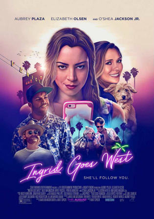 Ingrid Goes West 2017 BRRip 300Mb Hindi Dual Audio 480p