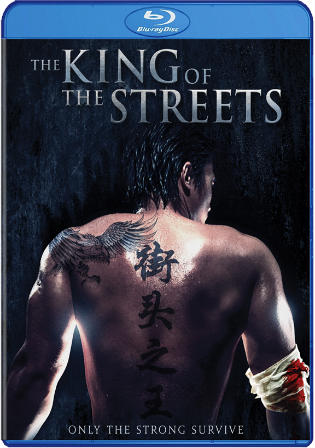 The King of the Streets 2012 BRRip 300Mb Hindi Dual Audio 480p