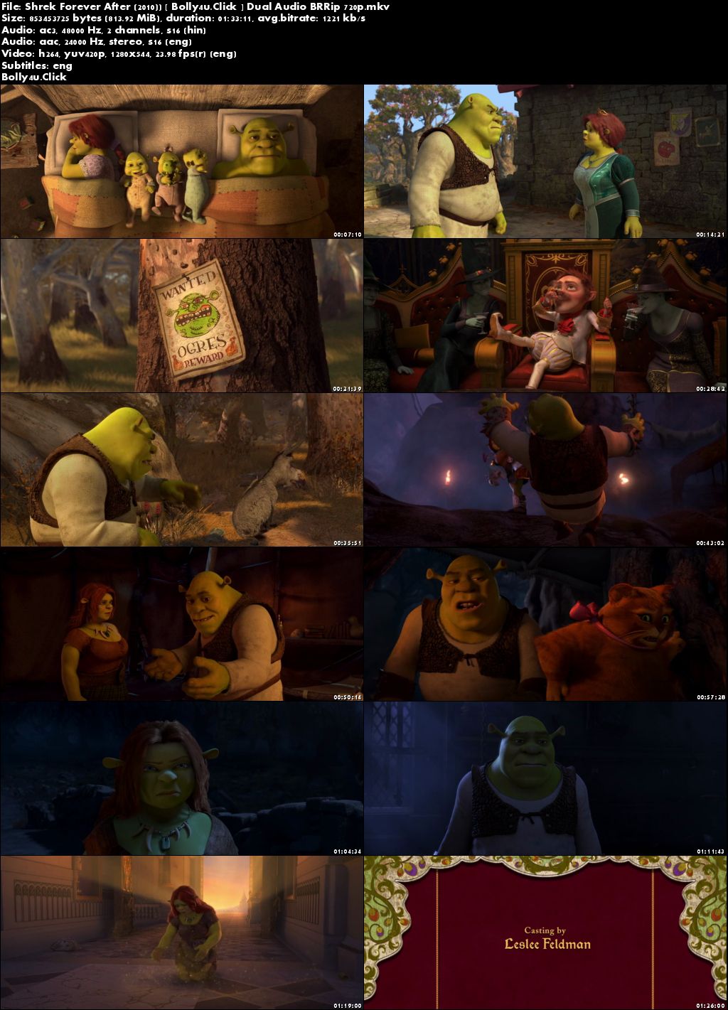 Shrek Forever After 2010 BRRip 400MB Hindi Dual Audio 480p Download