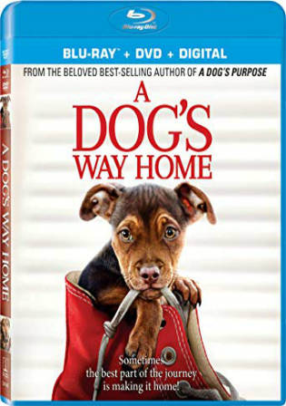 A Dogs Way Home 2019 BRRip 700Mb Hindi Dual Audio 720p Watch Online Free Download bolly4u