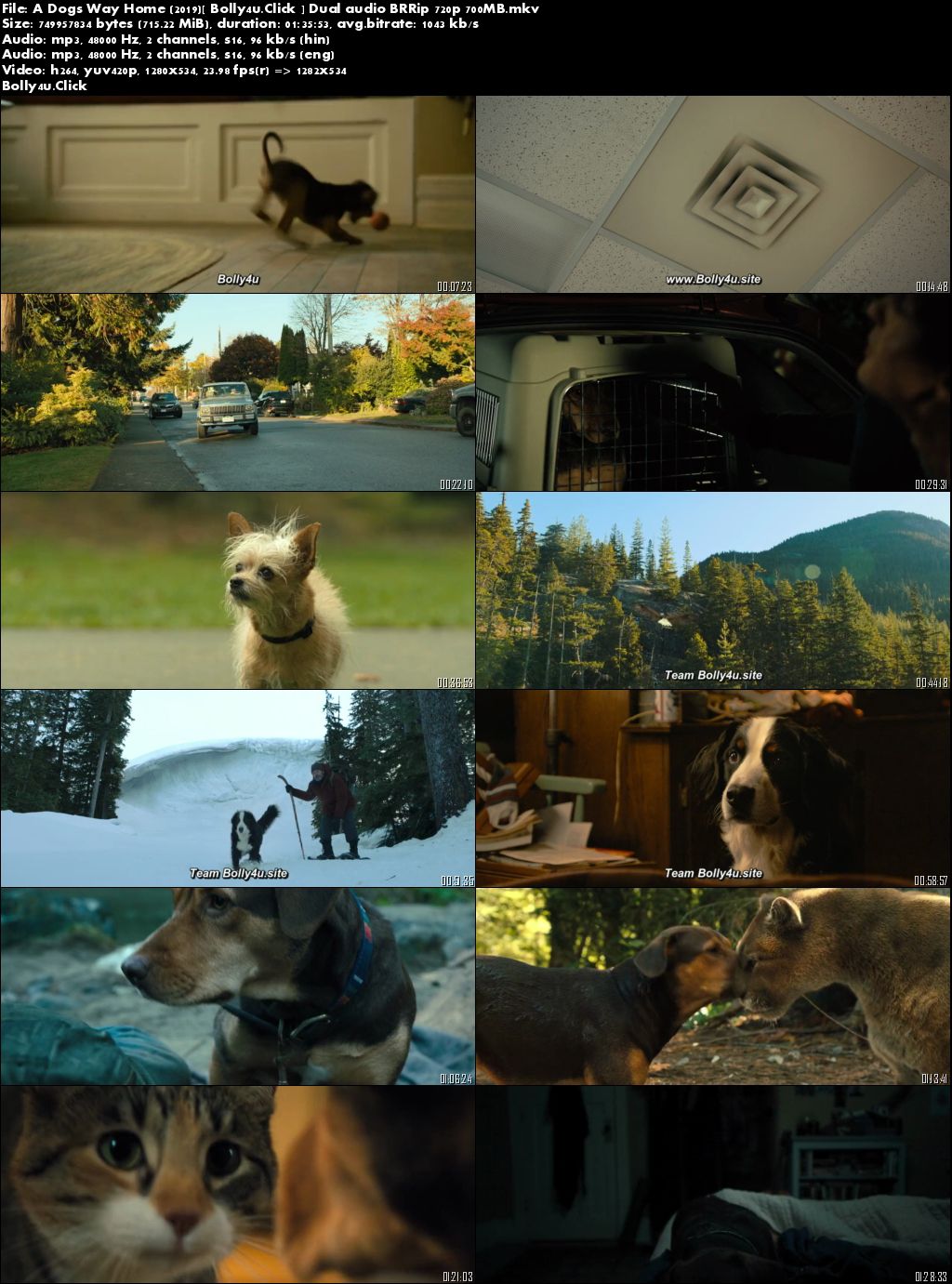 A Dogs Way Home 2019 BRRip 700Mb Hindi Dual Audio 720p Download