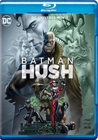 Batman Hush 2019 BluRay 250Mb English 480p ESub