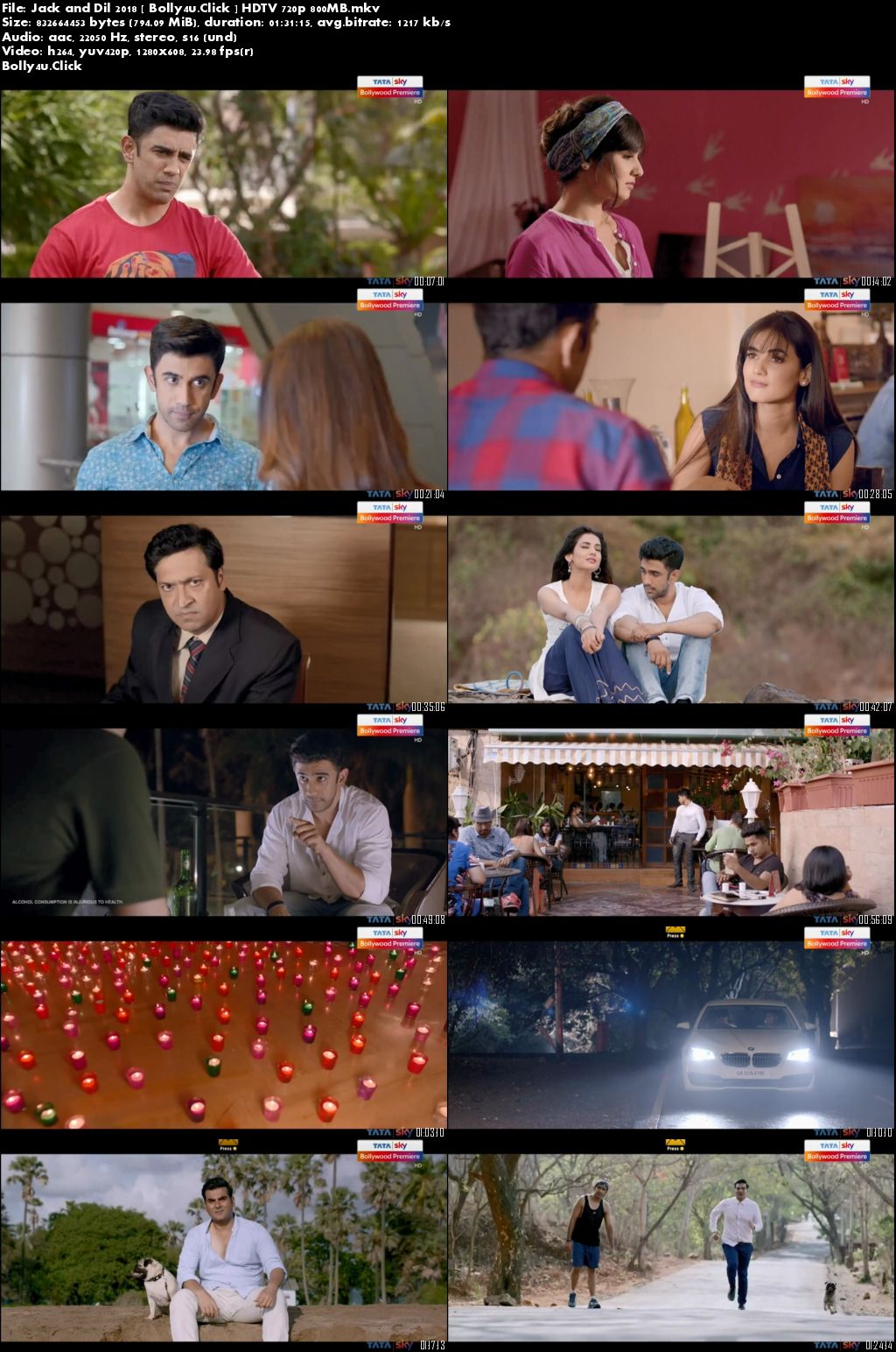 Jack and Dil 2018 HDTV 300MB Hindi 480p Download
