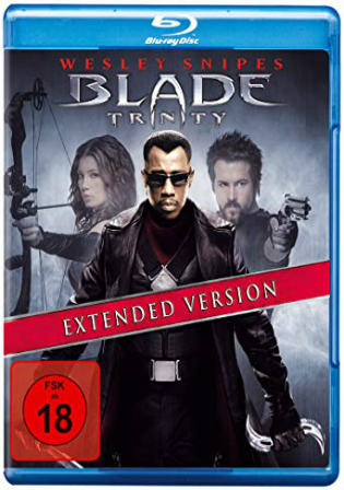 Blade III Trinity 2004 BRRip 950MB Hindi Dual Audio 720p