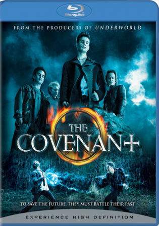 The Covenant 2006 BRRip 300MB Hindi Dual Audio 480p