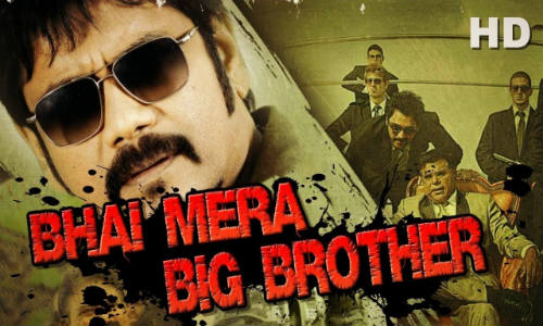 Bhai Mera Big Brother 2018 WEB-DL 300MB Hindi Dubbed 480p Watch Online Free Download bolly4u