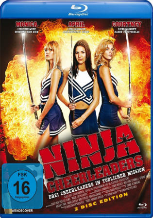 Ninja Cheerleaders 2008 BRRip 300MB Hindi Dual Audio 480p