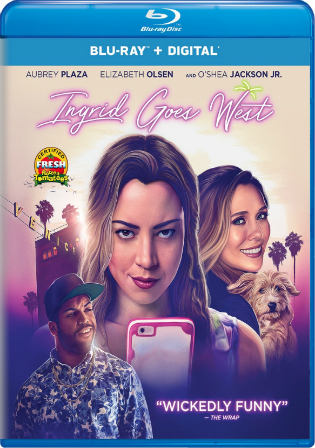 Ingrid Goes West 2017 BRRip 750MB Hindi Dual Audio 720p