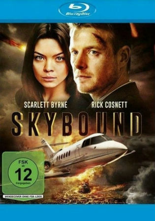 Skybound 2017 BRRip 280Mb Hindi Dual Audio 480p