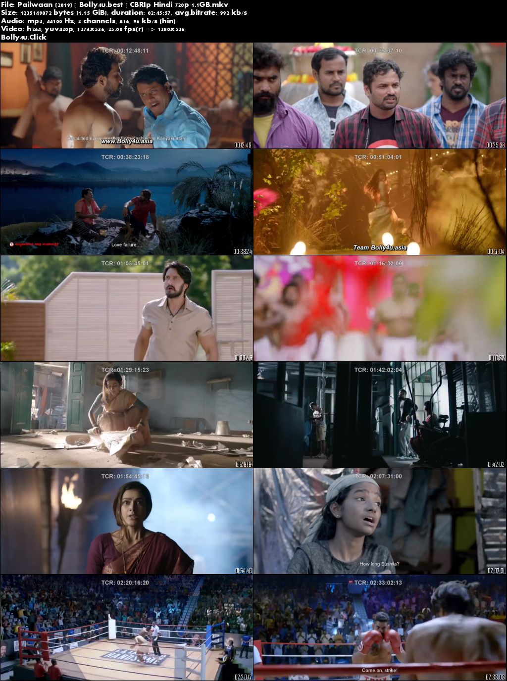 Pailwaan 2019 CBRip 500MB Full Hindi Movie Download 480p
