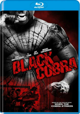 Black Cobra 2012 BluRay 300MB Hindi Dual Audio 480p