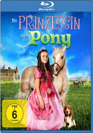 Princess And The Pony 2011 BluRay 300MB Hindi Dual Audio 480p