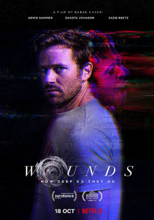 Wounds 2019 BluRay 750Mb Hindi Dual Audio ORG 720p ESub