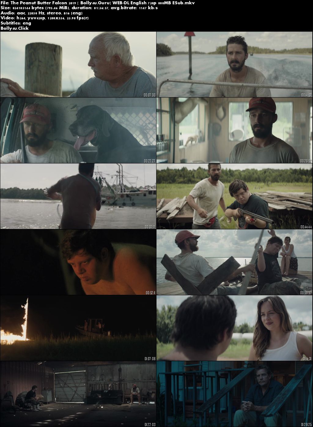 The Peanut Butter Falcon 2019 WEB-DL 800MB English 720p ESub Download