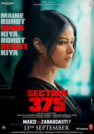 Section 375 (2019) WEB-DL 300Mb Full Hindi Movie Download 480p Watch Online Free bolly4u