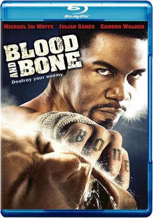 Blood and Bone 2009 BluRay 300Mb Hindi Dual Audio 480p
