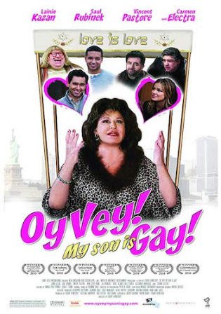 Oy Vey My Son Is Gay 2009 WEB-DL 300Mb Hindi Dual Audio 480p