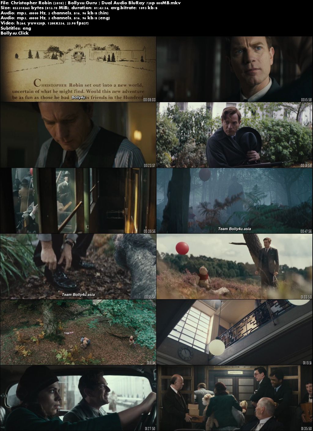 Christopher Robin 2018 BluRay 300MB Hindi Dual Audio 480p Download