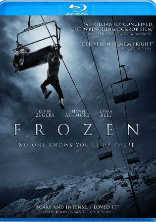 Frozen 2010 BluRay 300MB Hindi Dual Audio 480p
