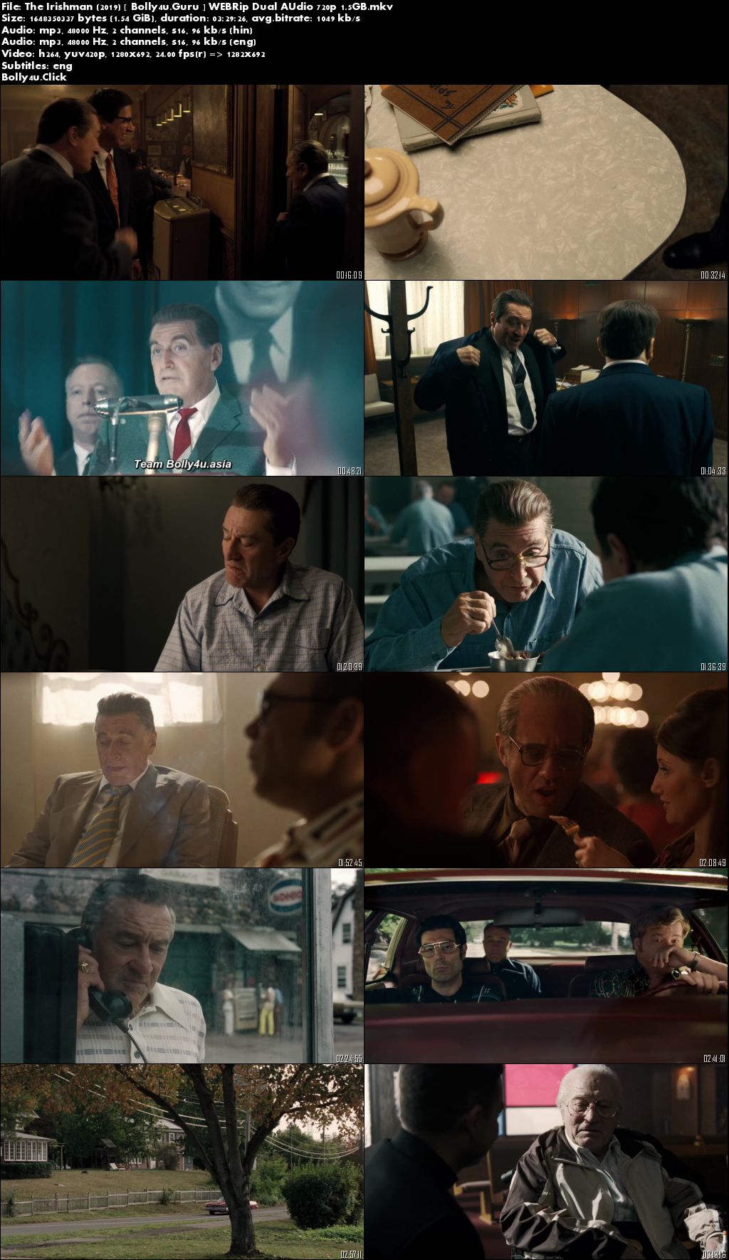 The Irishman 2019 WEBRip 650MB Hindi Dual Audio 480p Download