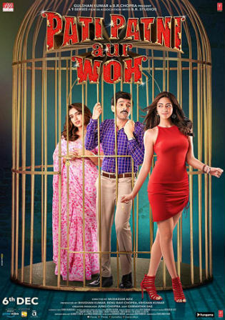 Pati Patni Aur Woh 2019 Pre DVDRip 300Mb Hindi Movie Download 480p