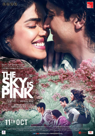 The Sky Is Pink 2019 WEB-DL 400Mb Full Hindi Movie Download 480p Watch Online Free bolly4u