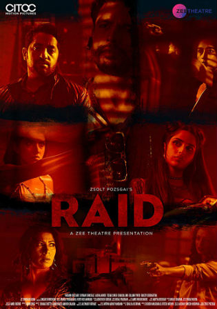 Raid 2019 WEB-DL 200Mb Hindi 480p